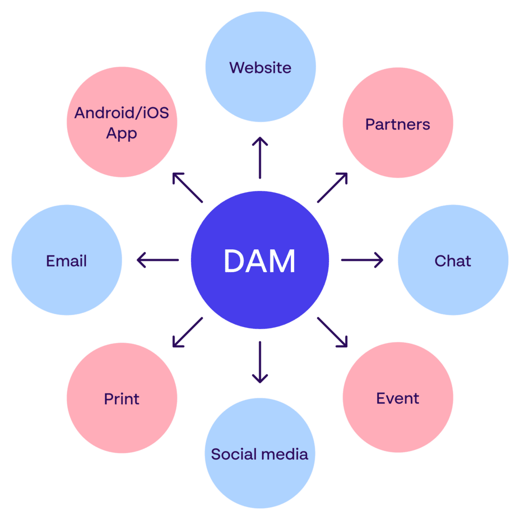 DAM ecosystem